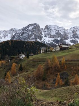 On a mtb in the Mills valley
