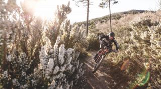 E-Bike-Abfahrt auf einem Bergpfad in Südtirol
